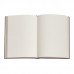 Блокнот Paperblanks Ван Гог – Іриси великий Лінійка