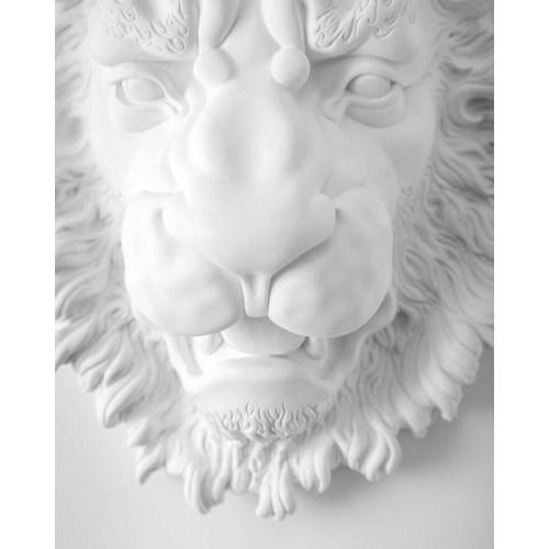 Настінний декор Голова лева