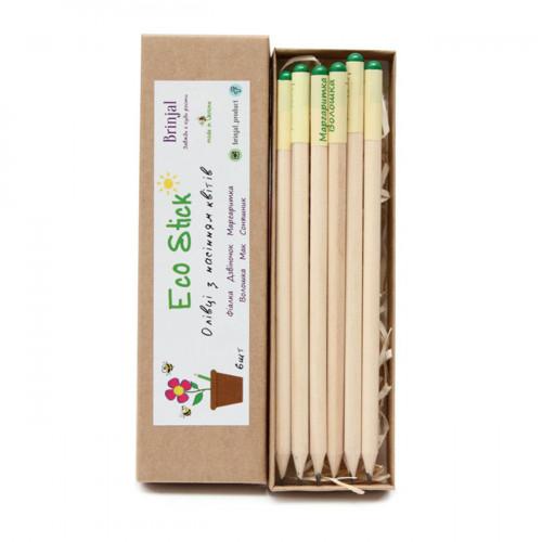 Набір олівців із насінням квітів Brinjal Eco Stick 6 шт