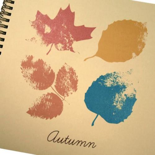 Альбом для гербарію "Autumn", 40л