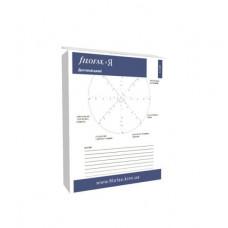 Комплект бланків Filofax "Ефективне планування" на місяць Personal